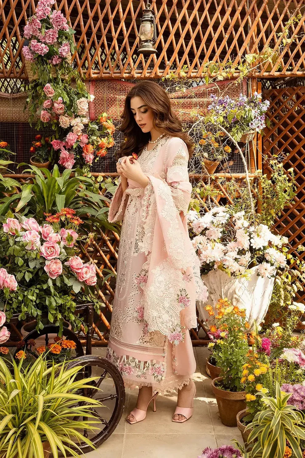 Elaf Dhanak Mahgul - HS - 099